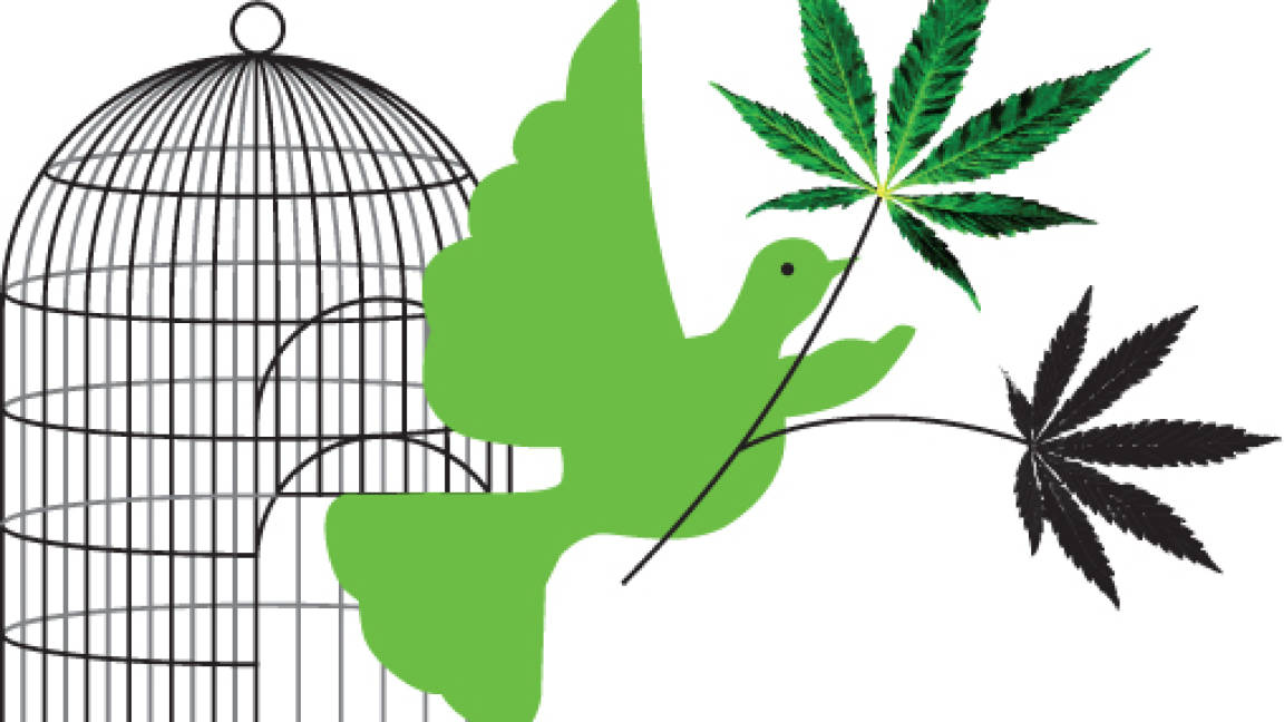 Mariguana: a un 'pase' de la legalización