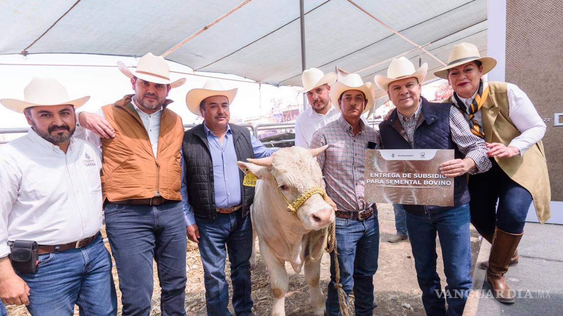 México: Subastas ganaderas, un salvavidas ante la crisis del cierre fronterizo