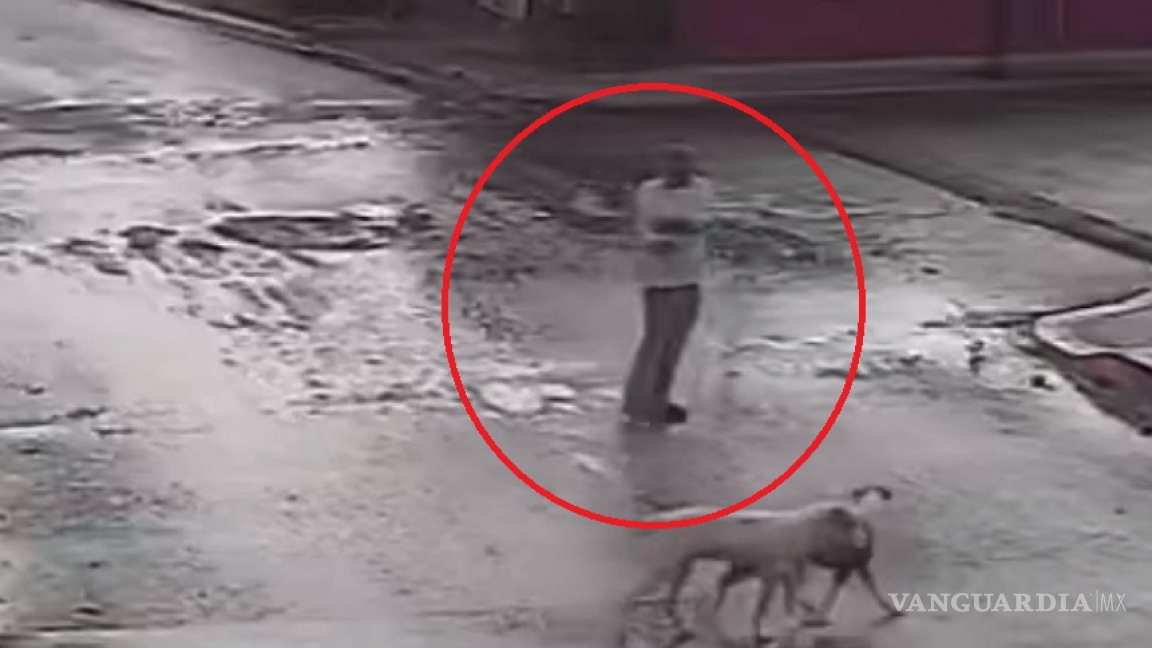 Sujeto disparó contra cuatro perros en Puebla (video)