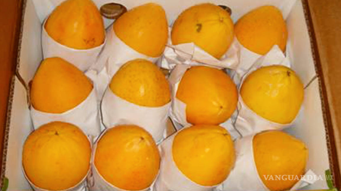 Reclama Sader freno a exportaciones de papaya a EU ante caso de salmonella
