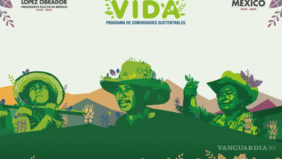 $!Jóvenes Construyendo el Futuro con menos presupuesto; becas, adultos mayores y Sembrando Vida 'ganan'