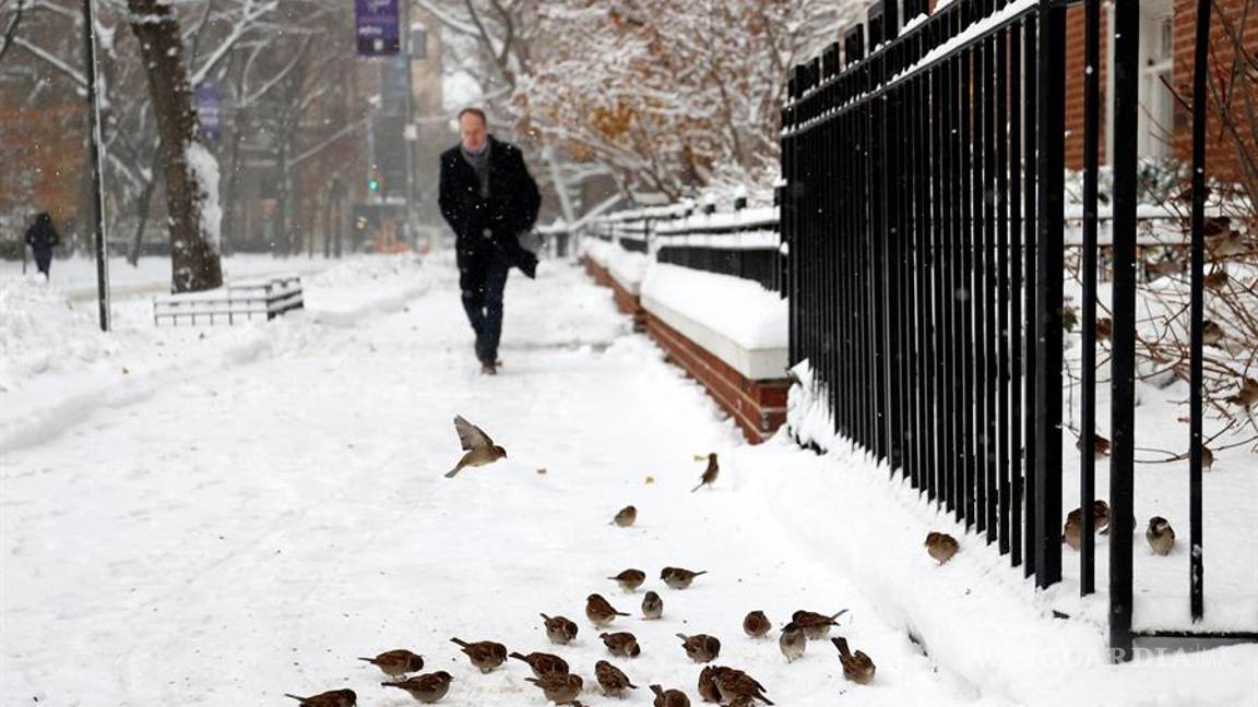$!Nevadas en el noreste de EU afecta lucha contra la pandemia de COVID-19