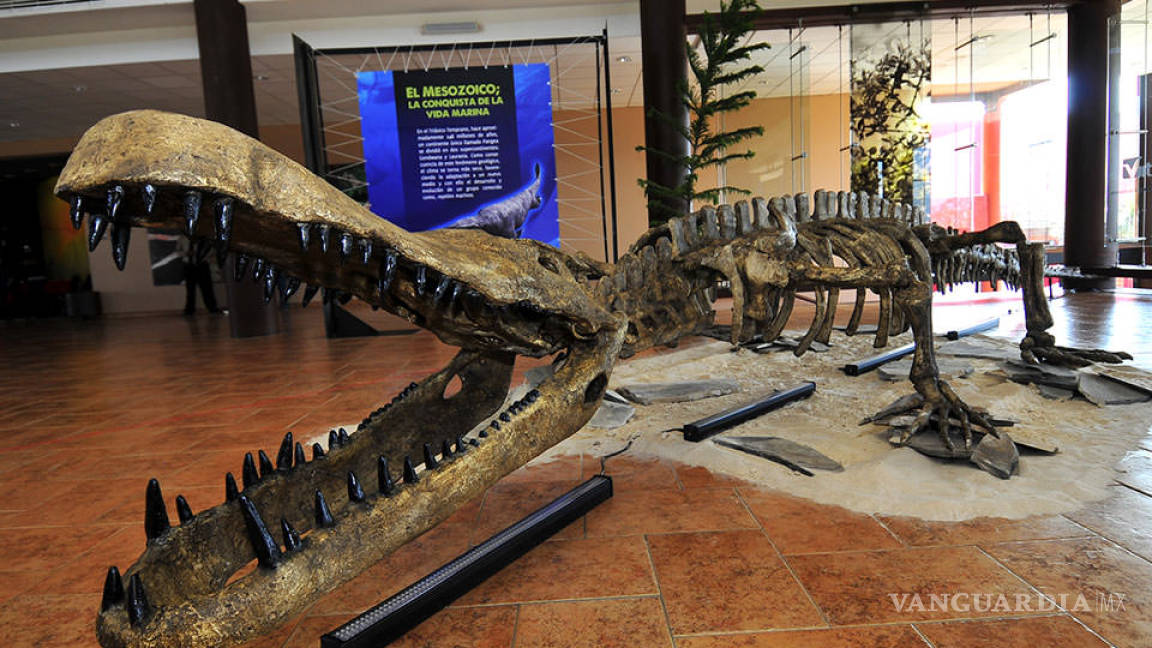 Inauguran el 21 de noviembre la Primera Zona Paleontológica de México en General Cepeda, Coahuila