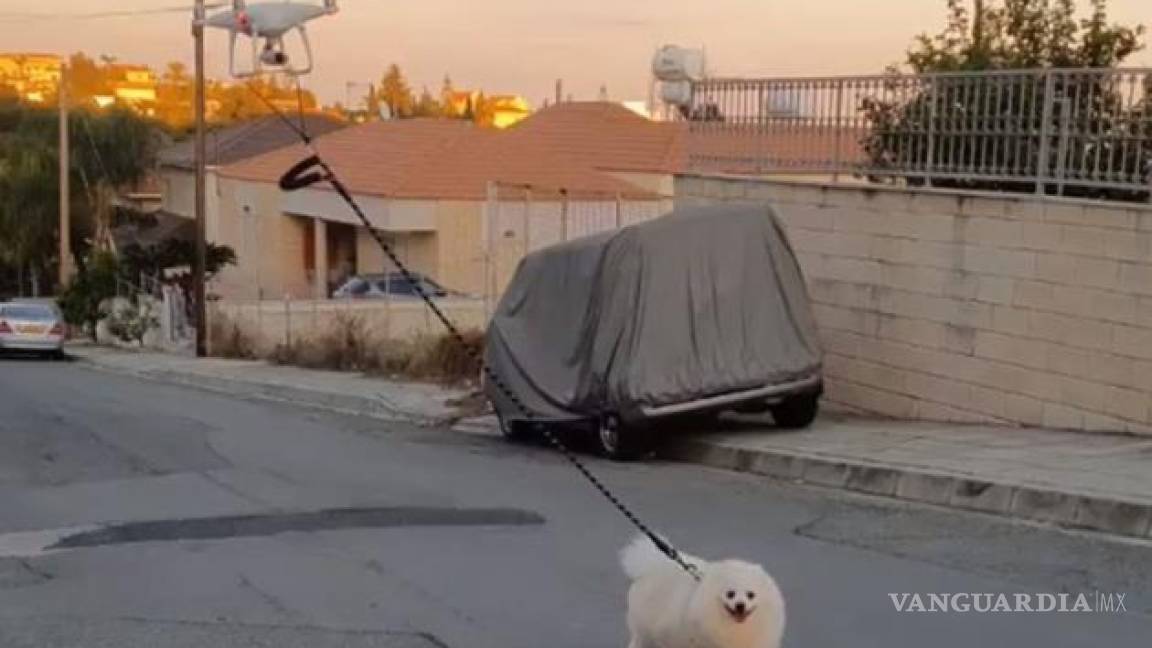 Con un dron sacó a pasear a su perro para respetar la cuarentena