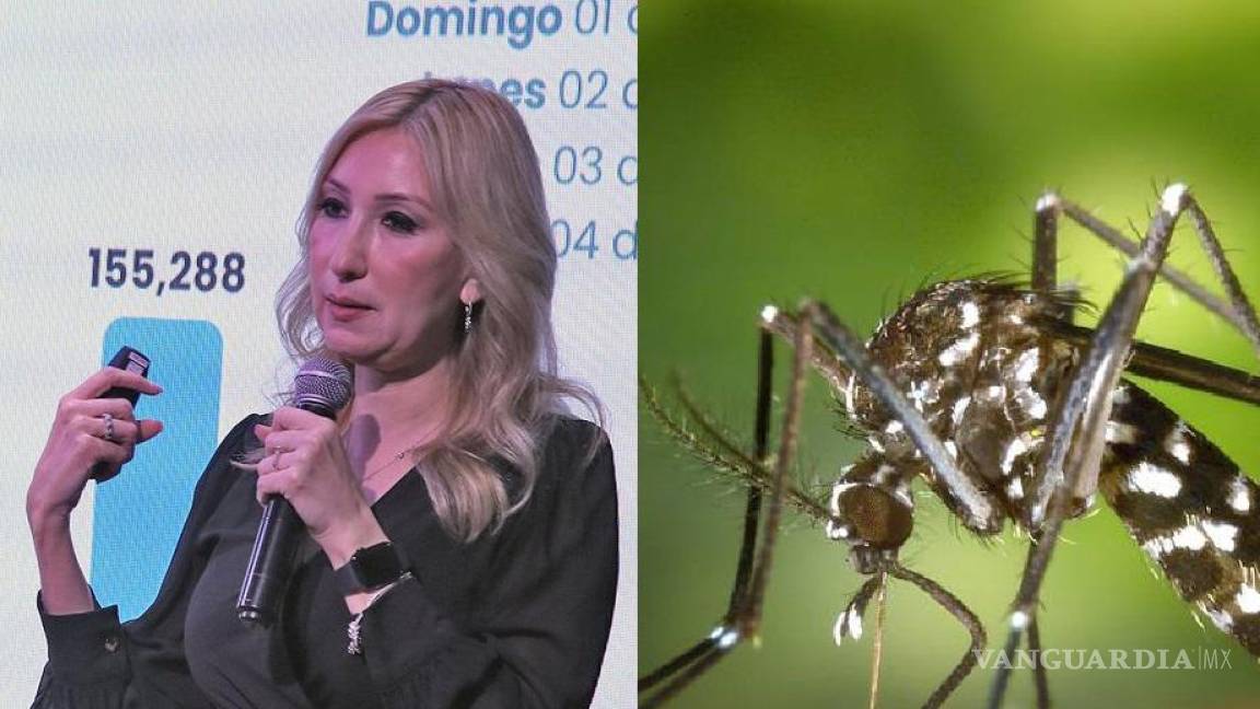 Dengue en Nuevo León ha dejado 12 muertes y más de mil casos