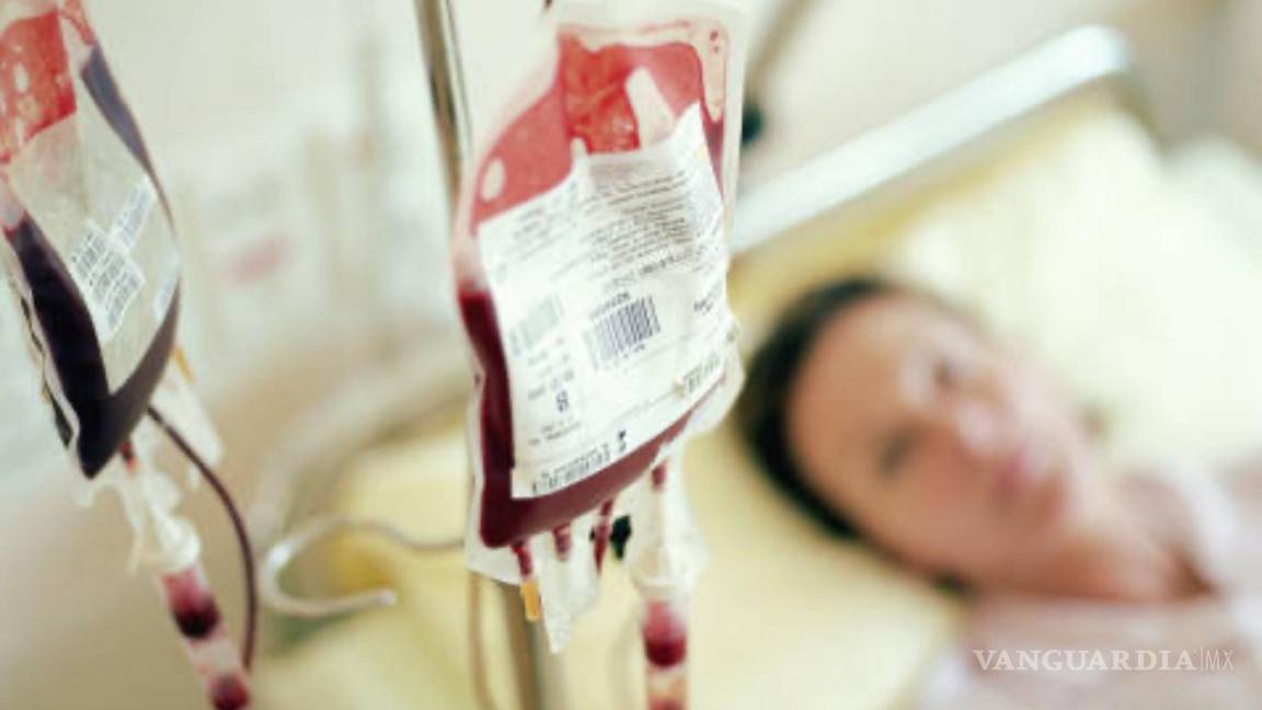 Por primera vez realizan una transfusión de sangre creada en un laboratorio a las personas