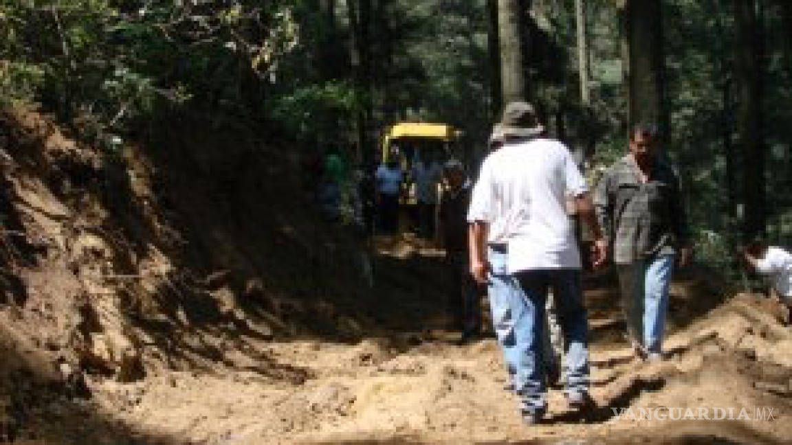 Denuncian ecocidio en bosques de Huixquilucan