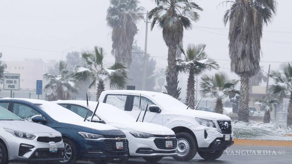 ¡No guardes la cobija de tigre! Hoy llega el Frente Frío 20 a México