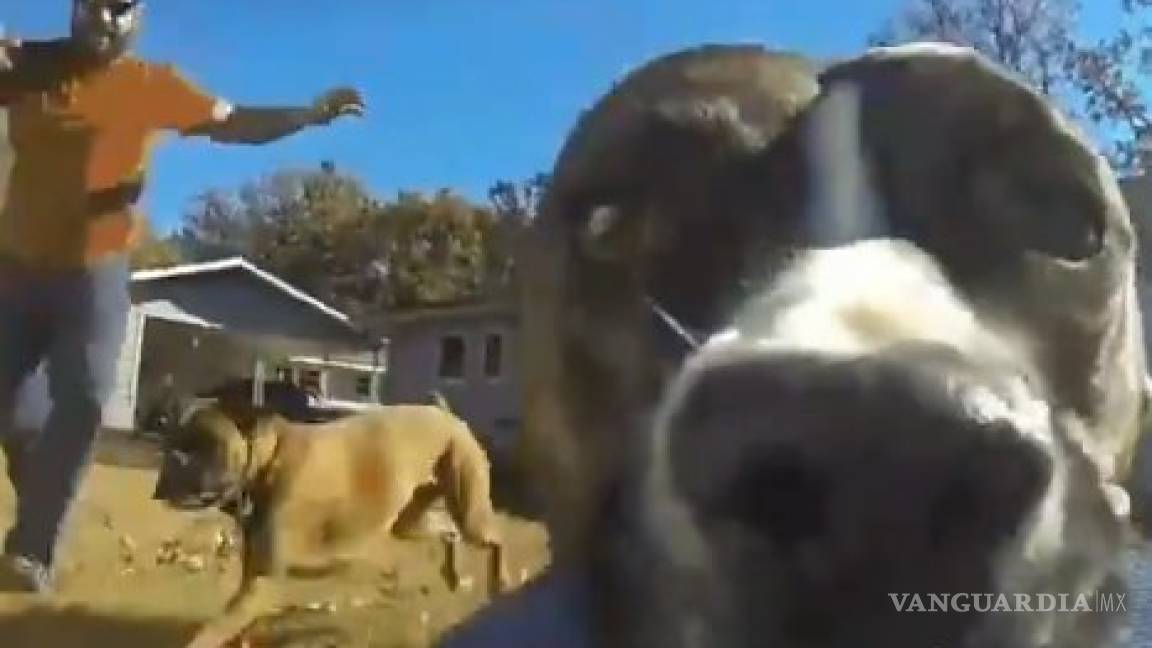 Perro roba cámara GoPro y se graba corriendo