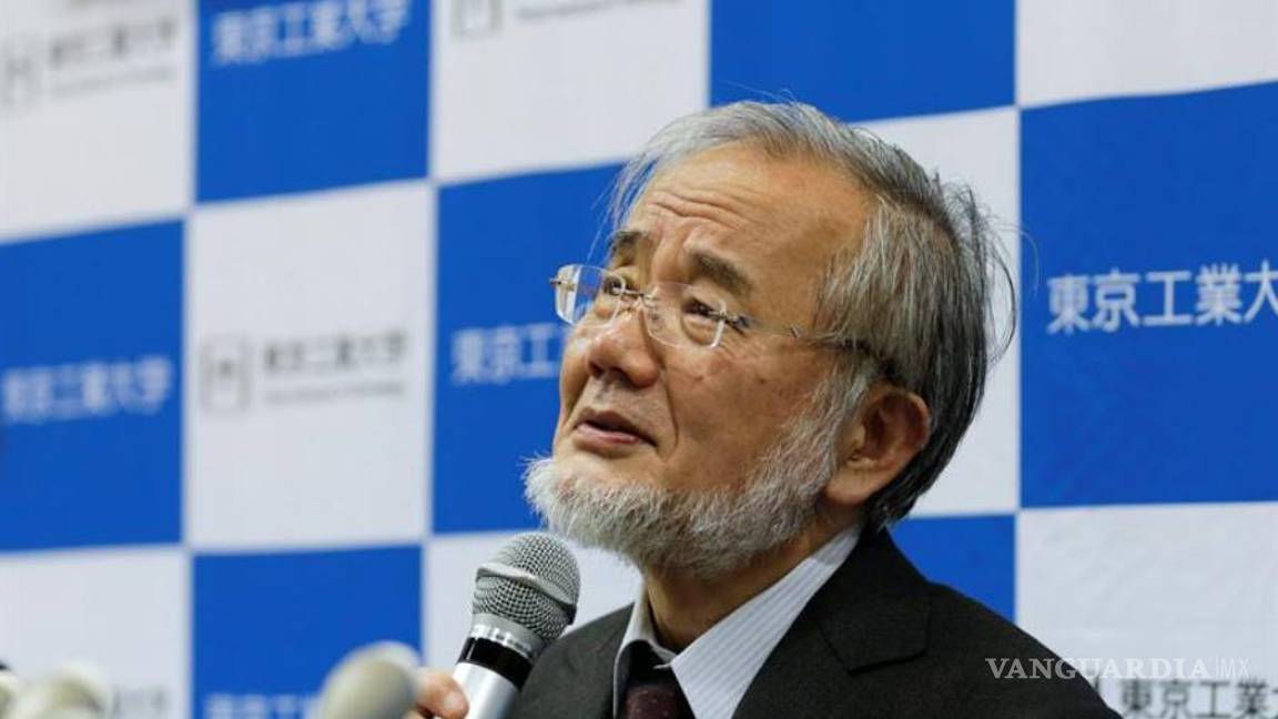 $!Ohsumi, un investigador revolucionario