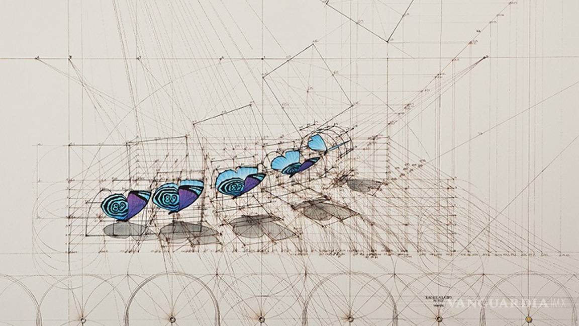 $!Fibonacci para colorear