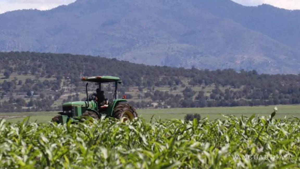 Gobierno de AMLO hunde financiamiento al campo productivo y arriesga autosuficiencia alimentaria