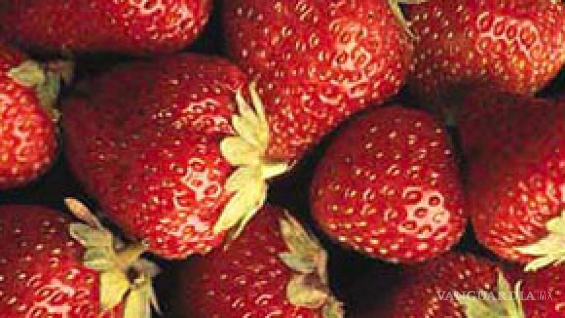 Científicos crean súper fresas mexicanas