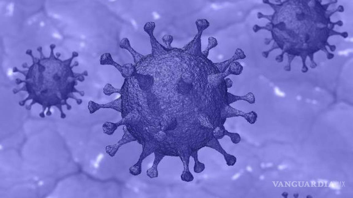 Alerta ante mutación: Variante Alfa del COVID ha aprendido a bloquear el sistema inmunitario
