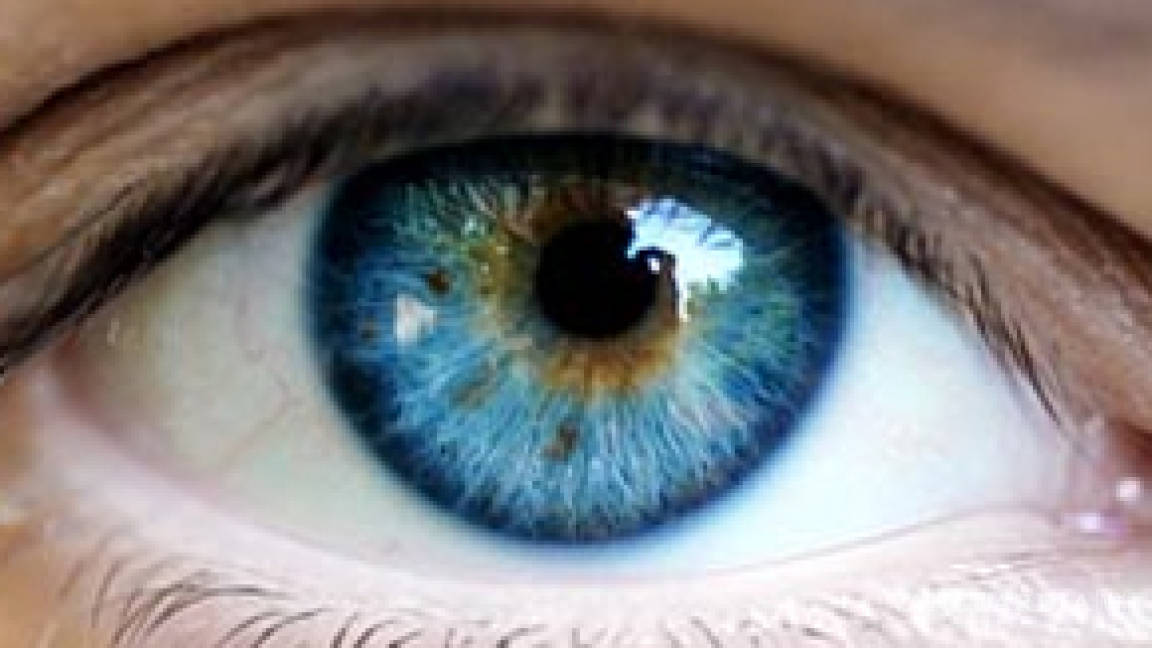 Desarrollan terapias regenerativas del ojo