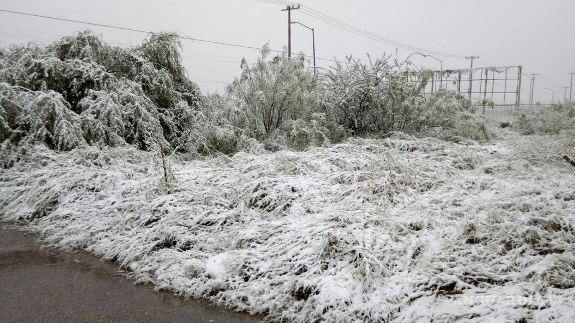 $!Cubre aguanieve en Piedras Negras; piden extremar precauciones