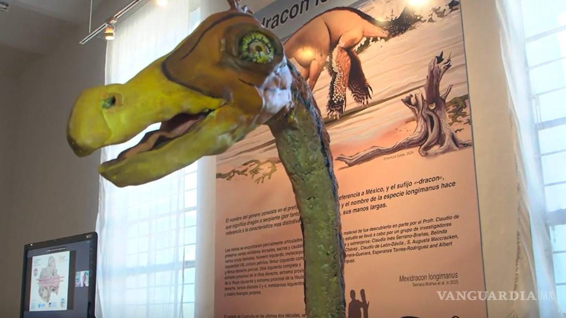 $!El Mexidracon Longimanus tenía cierta similitud con el avestruz.