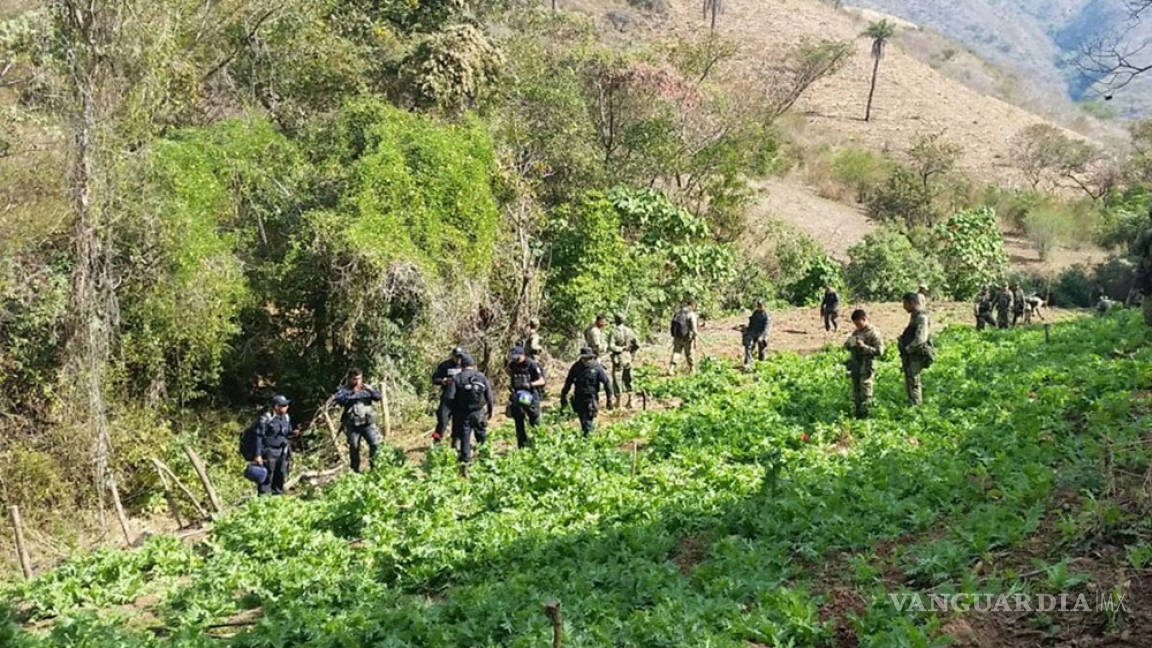 PF y Ejército buscan a 17 desaparecidos en Arcelia, Guerrero