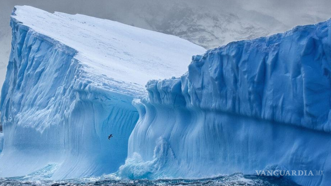 Hielo de la Antártida podría desaparecer en menos de una década, alertan