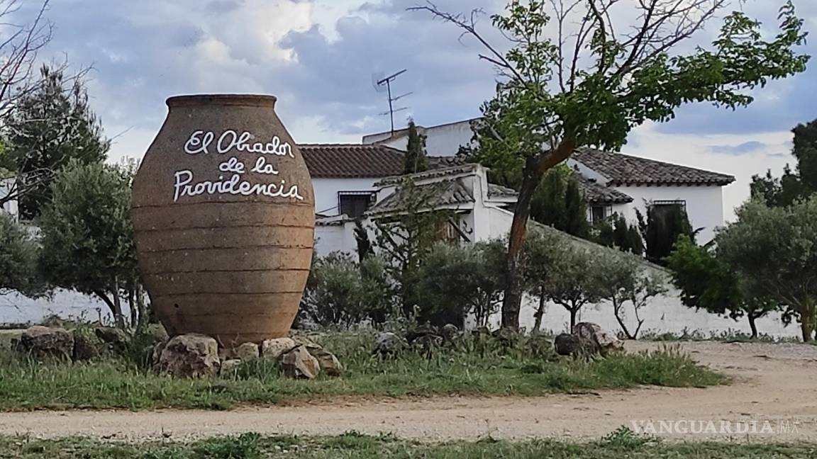 $!Entrada a El Toboso desde la carretera de la vecina localidad de Miguel Esteban. EFE/Amalia González Manjavacas