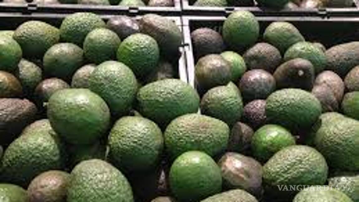 $!Aguacate vietnamita, rival de México en el mercado de EU