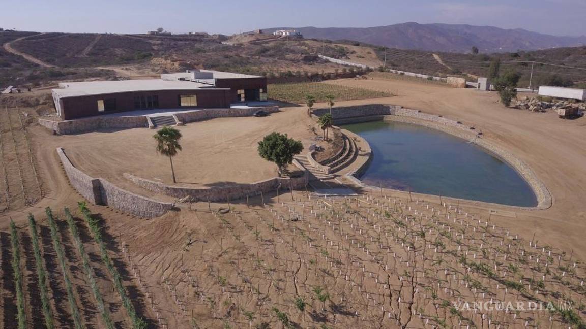 $!Salieron políticos 'buenos' (y vivos) para el vino: aprovechan apoyos federales para sus viñedos