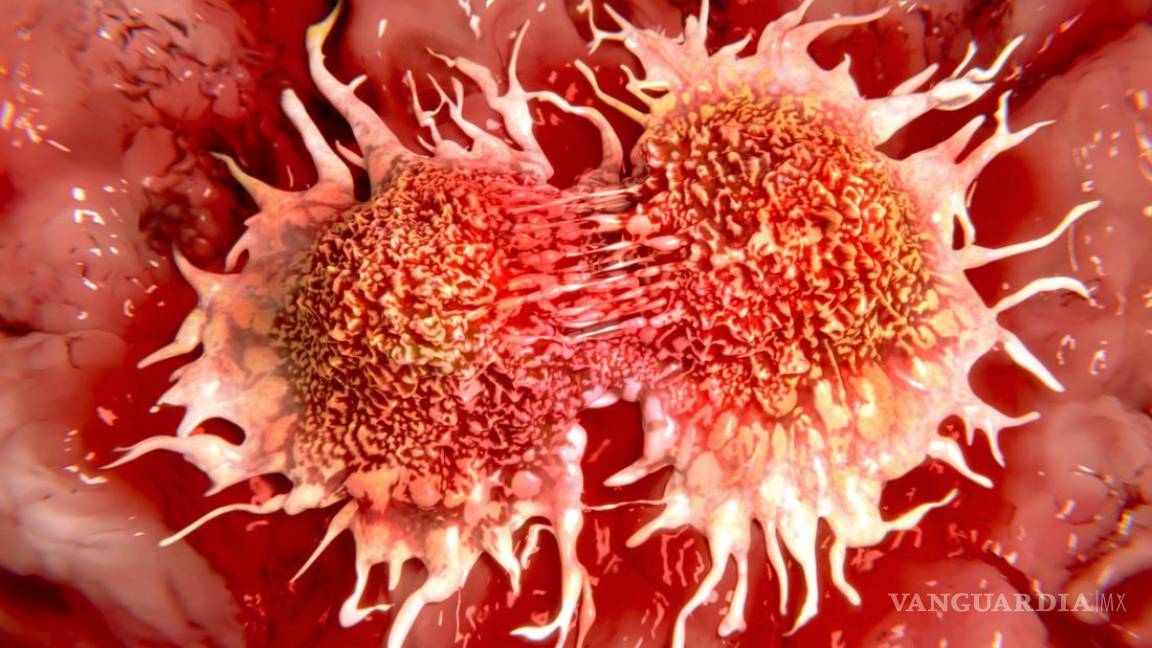 Crean prueba que detecta siete tipos de cáncer