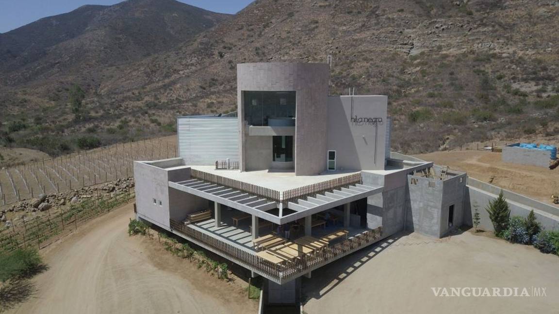 $!Salieron políticos 'buenos' (y vivos) para el vino: aprovechan apoyos federales para sus viñedos