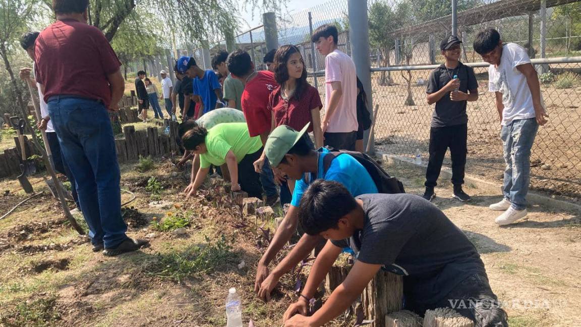 Crean activistas jardines para polinizadores en Ecoparque Monclova