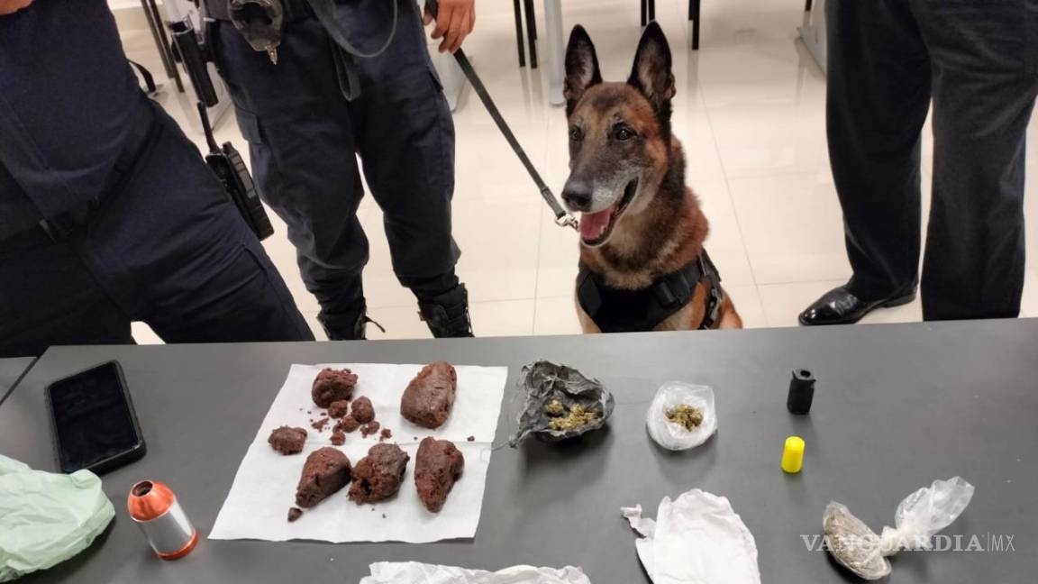 Hallan brownies ‘especiales’ tras operativo en escuelas de Monterrey