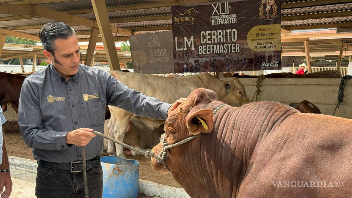 Incrementa Nuevo León apoyos a ganaderos para adquisición de sementales