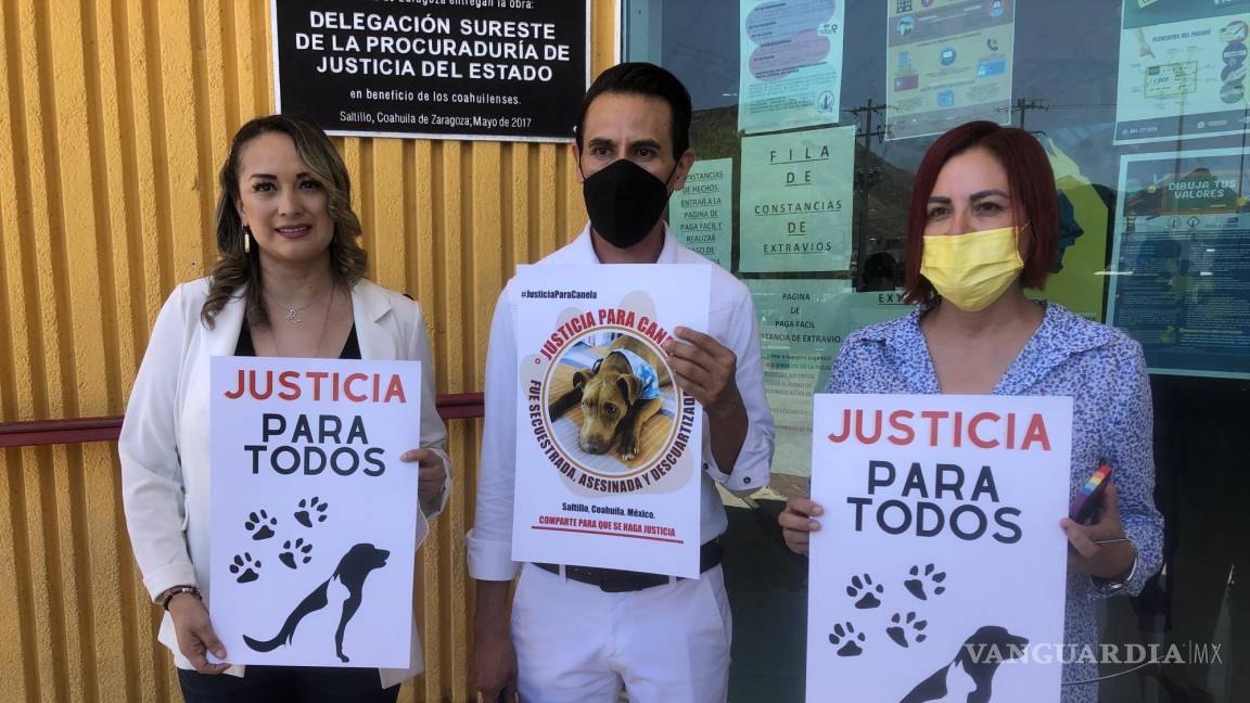 Saltillo: denuncian vecinos a asesino de perros en el Barrio de Santa Anita