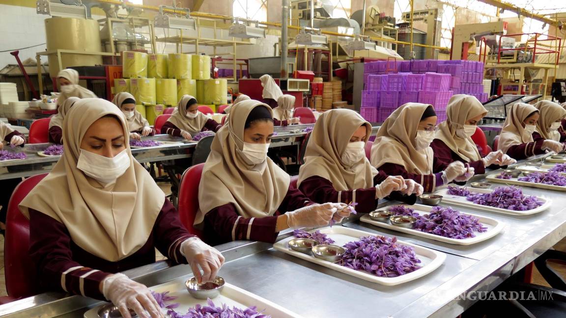 $!Varias trabajadoras de la fábrica de azafrán, Novin Saffron, durante una jornada laboral, en Teheran, Irán, país mayor productor y exportador de esta especia.