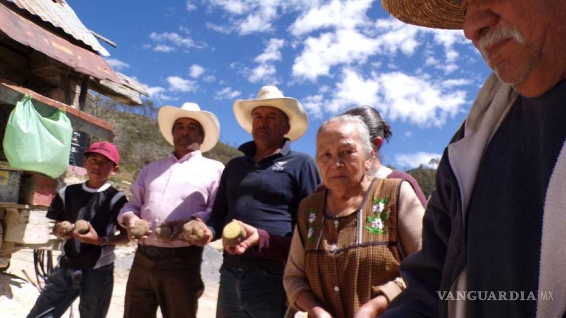 Variedades de papa producidas en Coahuila combaten el hambre en ejidos del país