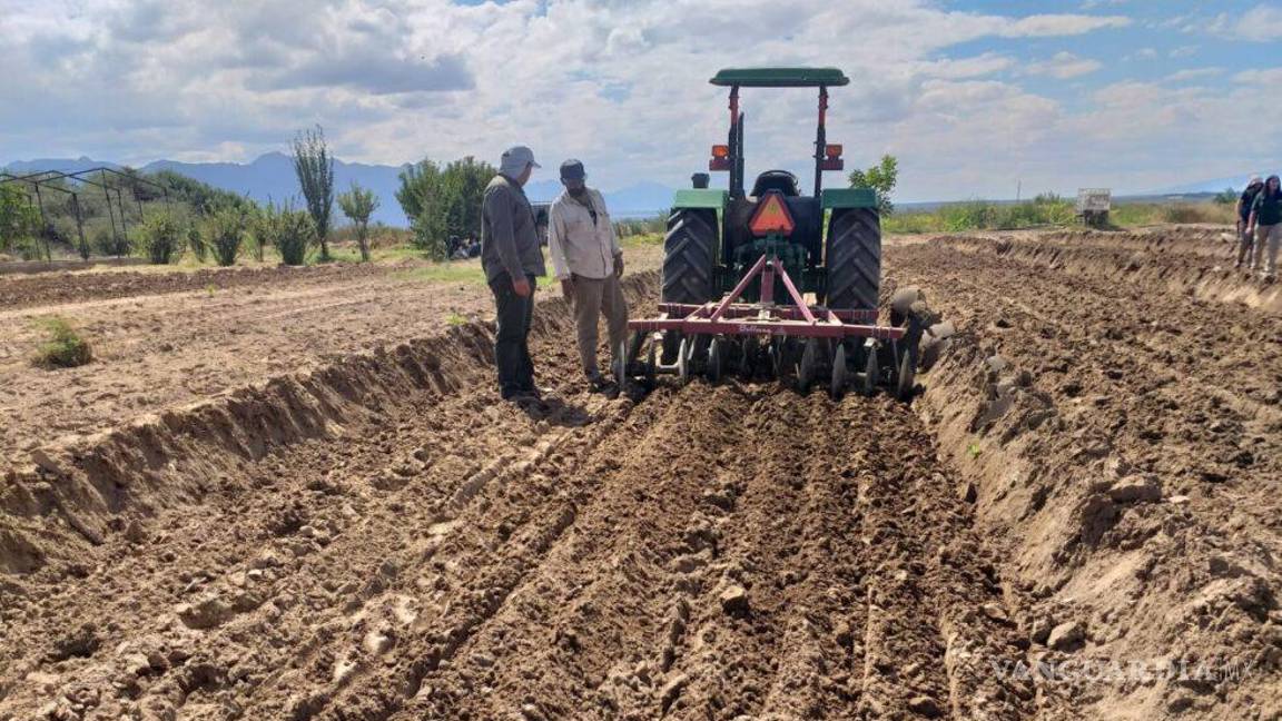 Piedras Negras: Preparan lista de apoyo a productores