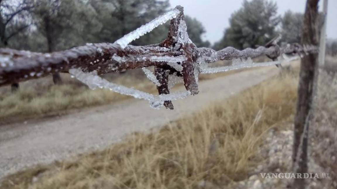 $!Protección Civil de Saltillo instaló operativos carrusel ante el descenso de temperatura.