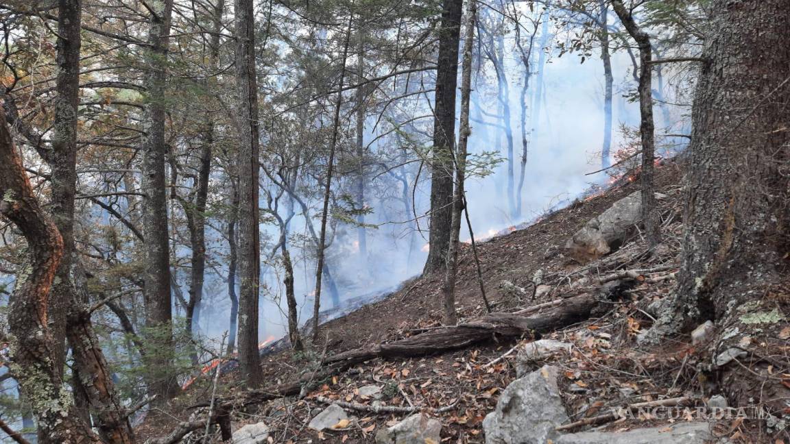 Confirman 80% de control en incendio en Sierra de Santiago, Nuevo León