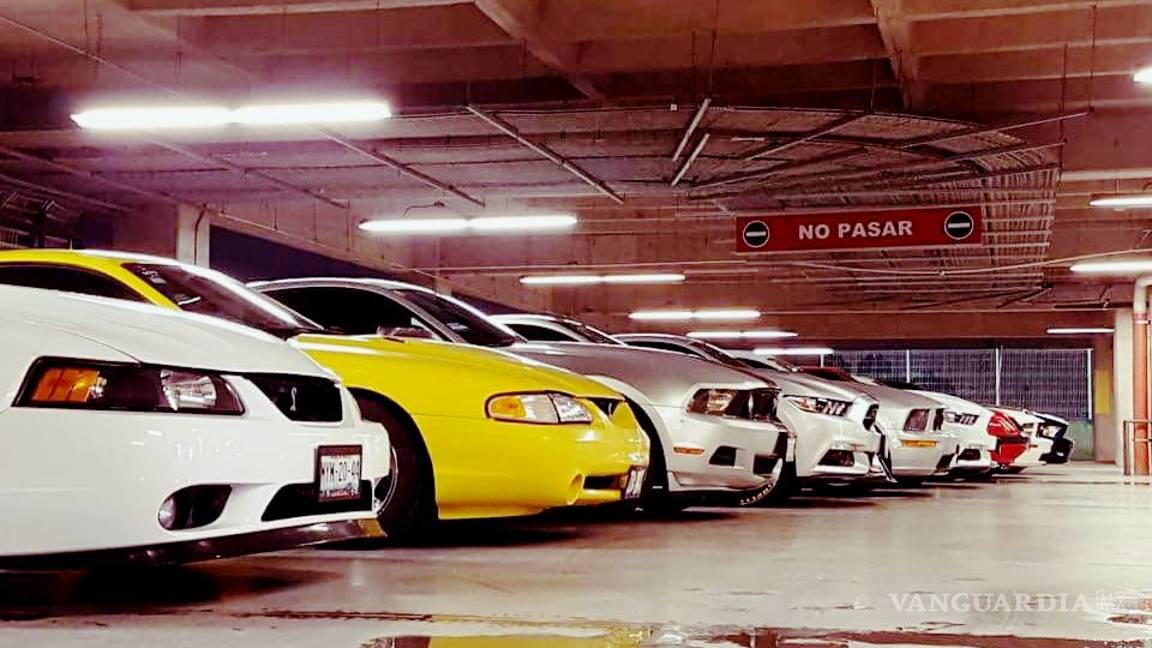 $!EU quiere romper el récord Guinness de México de la caravana de Mustangs más larga