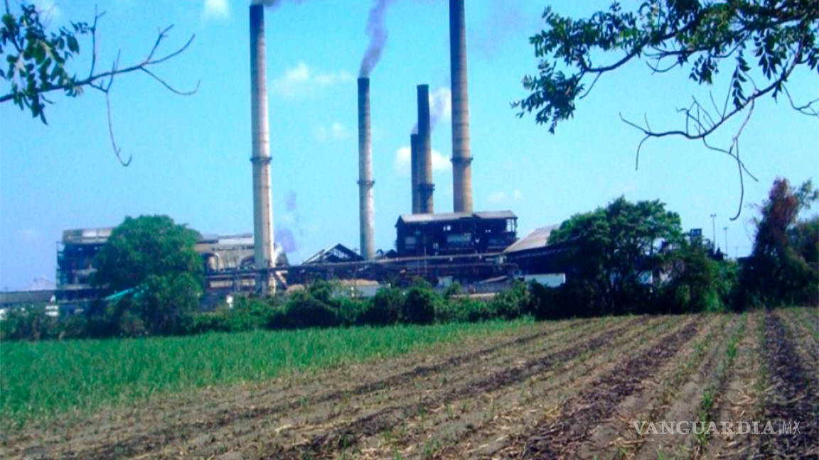 Gobierno vende sus últimos dos ingenios azucareros en 3 mil 398 mdp