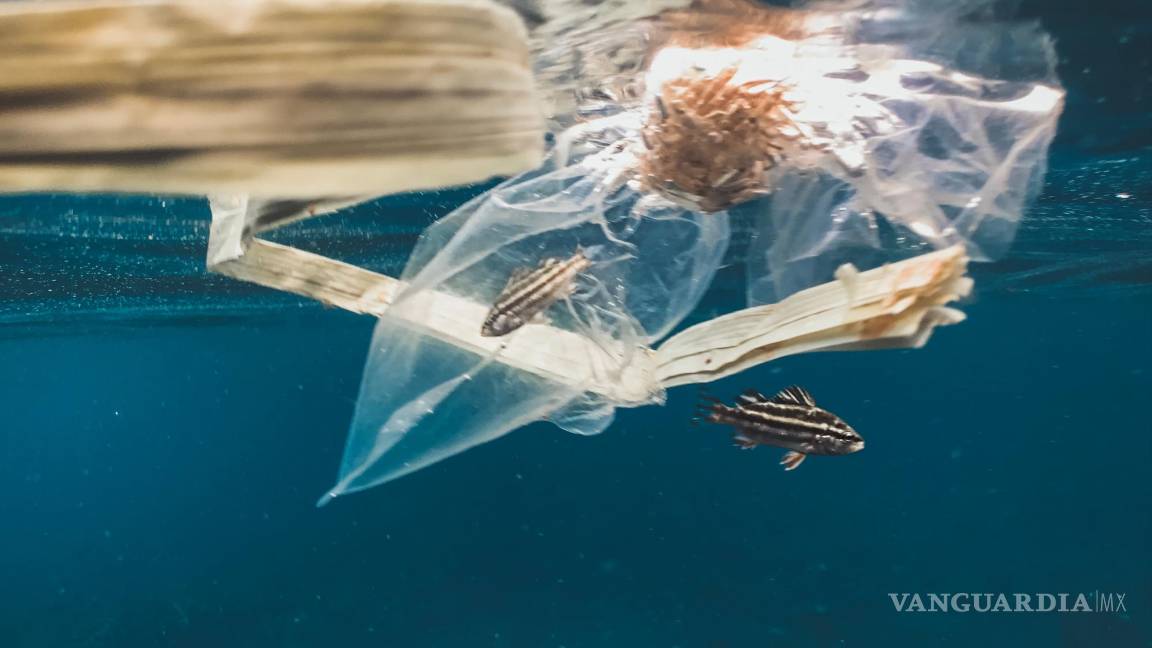 $!Lukas Kenner, coautor del estudio de la Universidad Médica de Viena, dijo que es más dañino para las personas con enfermedades crónicas.