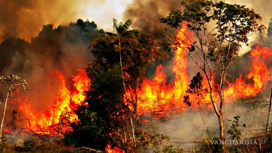 Humo de incendio en Amazonas se ve desde el espacio #PrayforAmazonia
