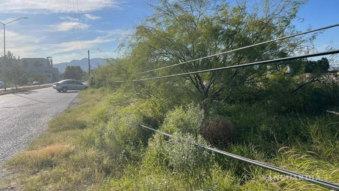 $!La empresa responsable debe intervenir para reubicar los cables que se han dejado caer entre la maleza en la calle Enrique Reyna.