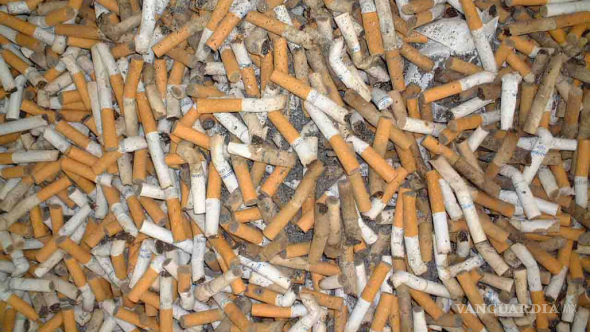 Destruyen 46 millones de cigarros ilegales