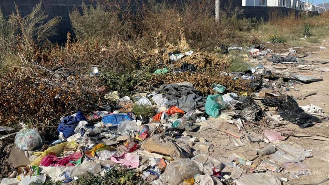 $!El basurero improvisado ha provocado la presencia de ratas y víboras, las cuales, según vecinos, ingresan a las viviendas cercanas.