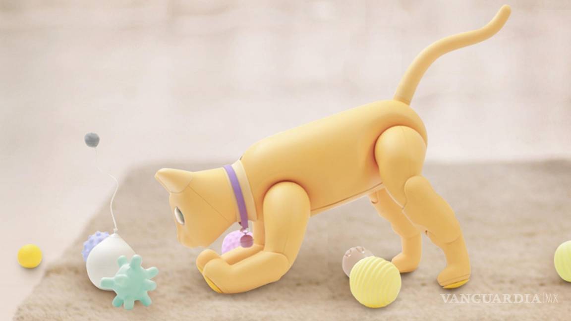 $!MarsCat, un robot de compañía mira sus juguetes.