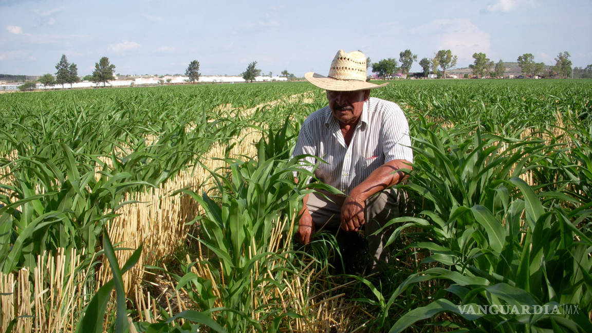 EU prepara a agricultores para abandonar TLCAN; meses antes destacaba relación con México