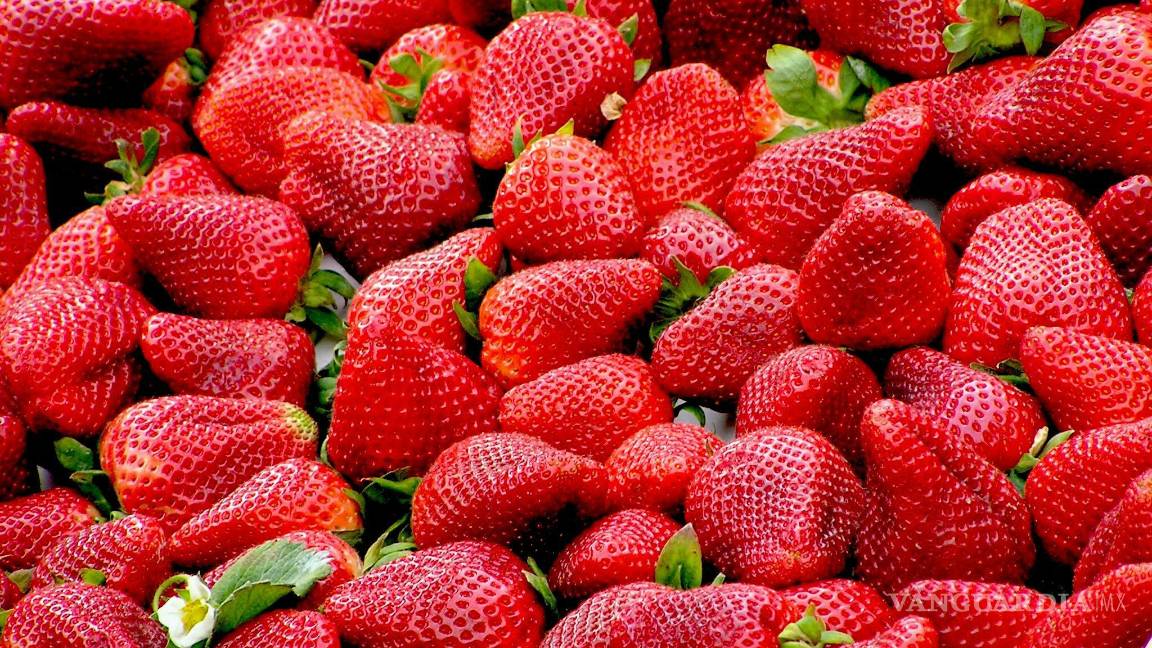$!Las fresas no solo son bajas en calorías, también están cargadas de vitamina C.