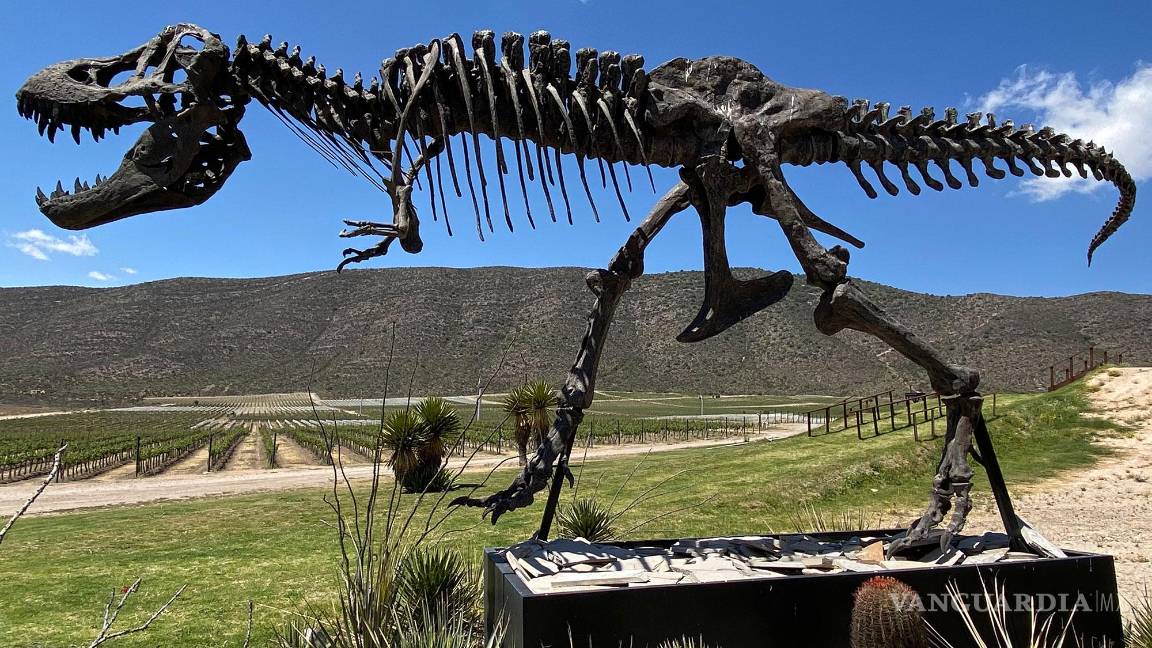 $!La Ruta de Vinos &amp; Dinos se está convirtiendo en una de las más populares en el enoturismo nacional.