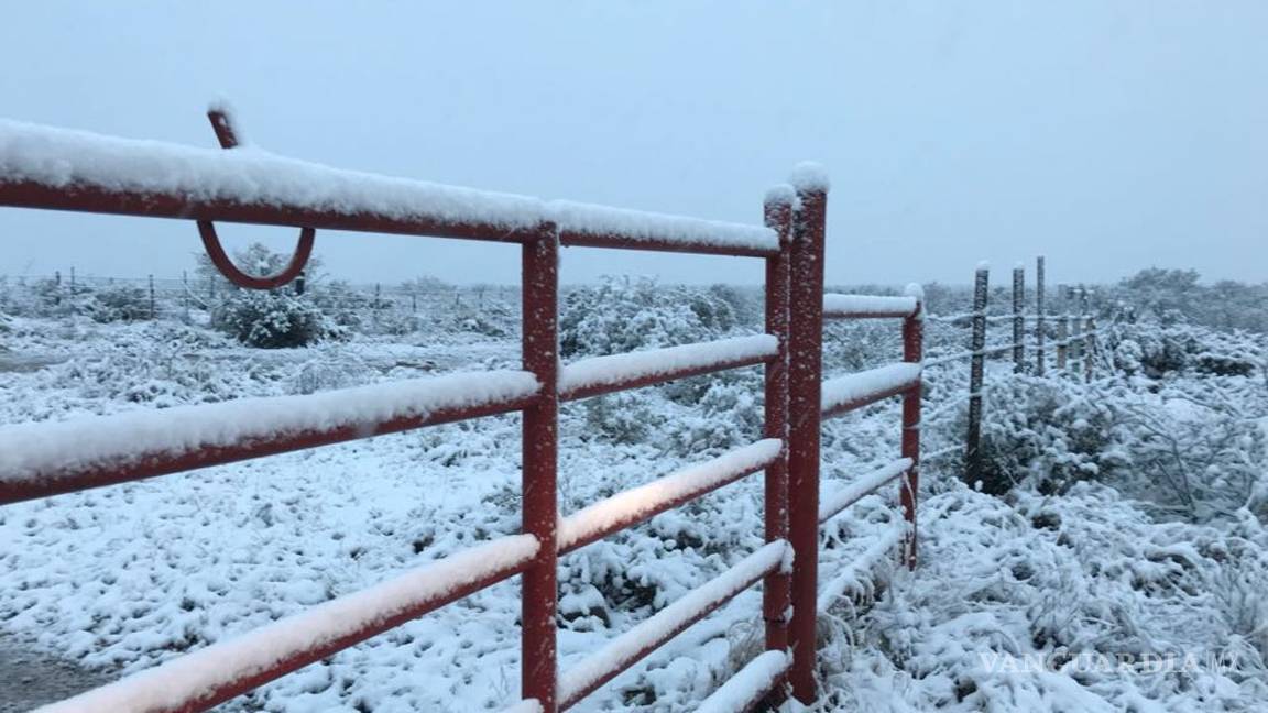 $!Cubre aguanieve en Piedras Negras; piden extremar precauciones