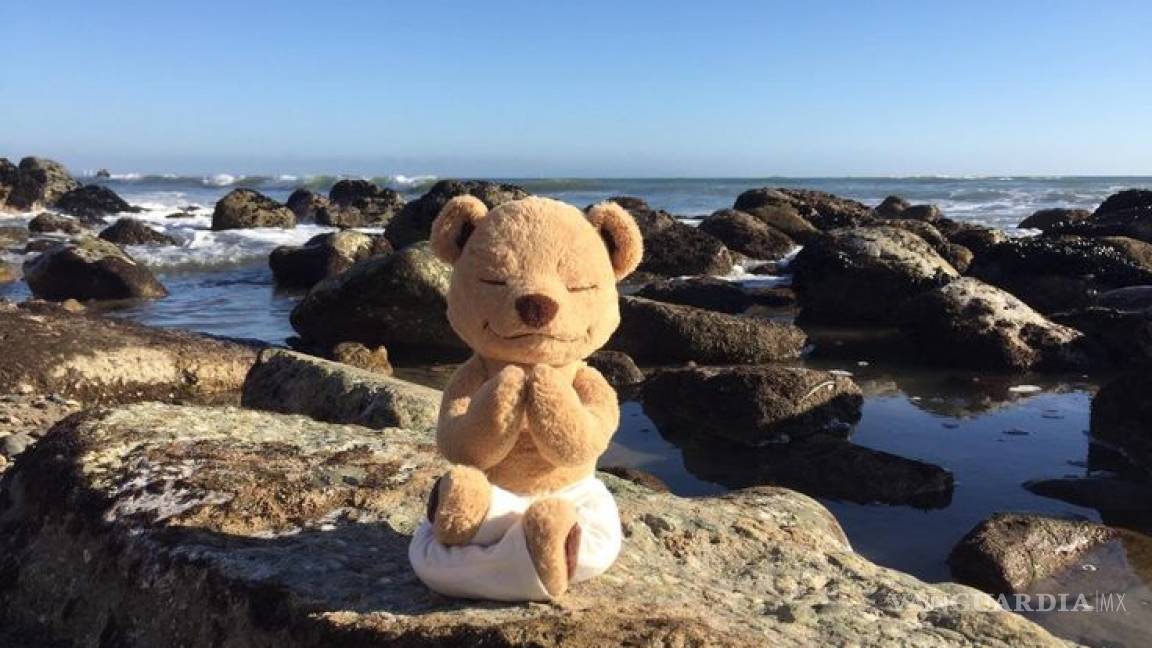 Meddy Teddy, el peluche que enseña a niños a practicar yoga